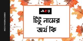 টিটু নামের অর্থ কি