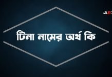 টিনা নামের অর্থ কি | নামটি সম্পর্কে বিশেষ তথ্যগুলো জেনে নিন