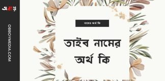 তাইব নামের অর্থ কি