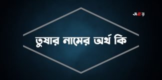 তুষার নামের অর্থ কি