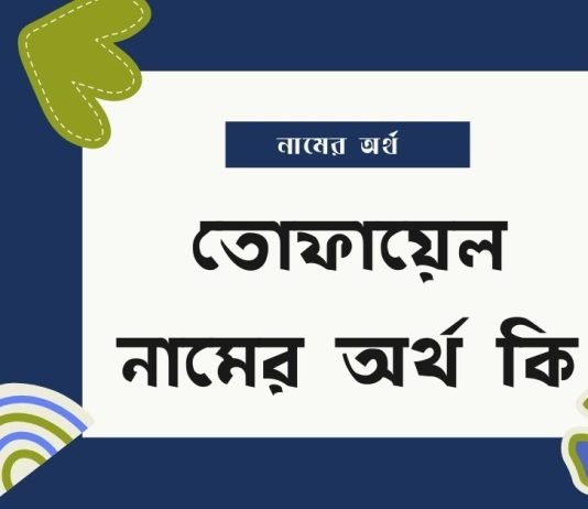 তোফায়েল নামের অর্থ কি