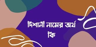 দিশানী নামের অর্থ কি