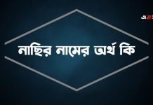 নাছির নামের অর্থ কি | ইসলামিক ও আরবি ব্যাতিক্রমী অর্থ নাছির নামের অর্থ কি