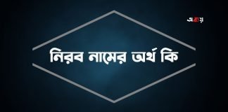 নিরব নামের অর্থ কি