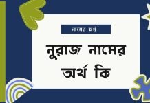 নুরাজ নামের অর্থ কি