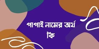 পাপাই নামের অর্থ কি