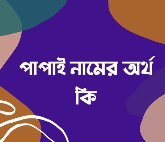 পাপাই নামের অর্থ কি