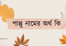 পাপ্পু নামের অর্থ কি | কেনো রাখবেন, কেনো রাখবেননা পাপ্পু নামের অর্থ কি