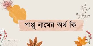 পাপ্পু নামের অর্থ কি