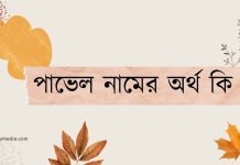 পাভেল নামের অর্থ কি | কেনো রাখবেন, কেনো রাখবেননা পাভেল নামের অর্থ কি