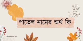 পাভেল নামের অর্থ কি