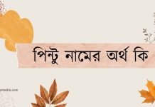পিন্টু নামের অর্থ কি | কেনো রাখবেন, কেনো রাখবেননা পিন্টু নামের অর্থ কি