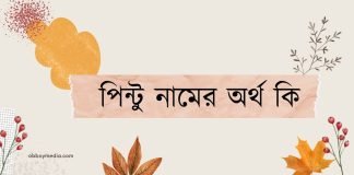 পিন্টু নামের অর্থ কি