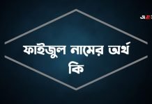 ফাইজুল নামের অর্থ কি (বিশেষ প্রেক্ষাপট ও বিখ্যাত ব্যক্তিসহ) ফাইজুল নামের অর্থ কি