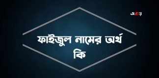 ফাইজুল নামের অর্থ কি
