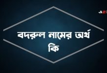 বদরুল নামের অর্থ কি
