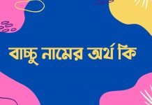 বাচ্চু নামের অর্থ কি | কেনো রাখবেন, কেনো রাখবেননা বাচ্চু নামের অর্থ কি