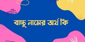 বাচ্চু নামের অর্থ কি