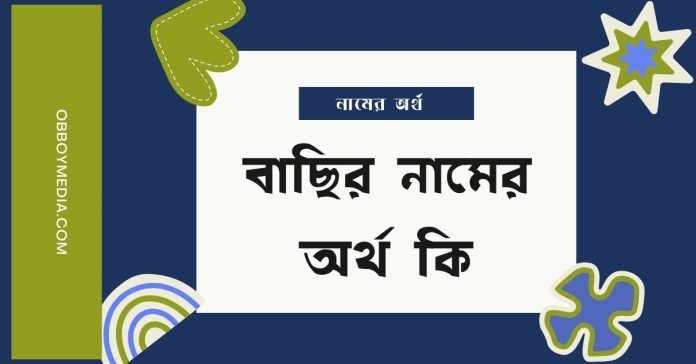বাছির নামের অর্থ কি - ইসলামিক ও আরবি অর্থ জানুন বাছির নামের অর্থ কি