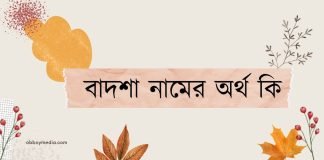 বাদশা নামের অর্থ কি