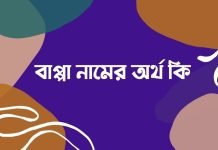 বাপ্পা নামের অর্থ কি