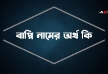 বাপ্পি নামের অর্থ কি | কেনো রাখবেন, কেনো রাখবেননা বাপ্পি নামের অর্থ কি