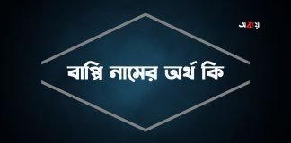 বাপ্পি নামের অর্থ কি