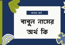 বাবুল নামের অর্থ কি | কেনো রাখবেন, কেনো রাখবেননা বাবুল নামের অর্থ কি