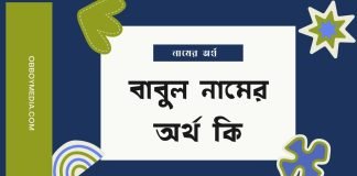 বাবুল নামের অর্থ কি