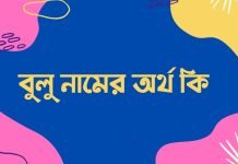 বুলু নামের অর্থ কি