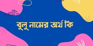 বুলু নামের অর্থ কি