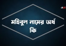 মহিবুল নামের অর্থ কি