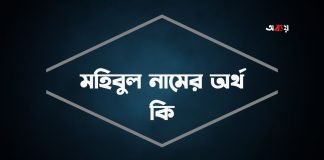 মহিবুল নামের অর্থ কি
