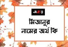 মিজানুর নামের অর্থ কি