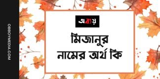 মিজানুর নামের অর্থ কি