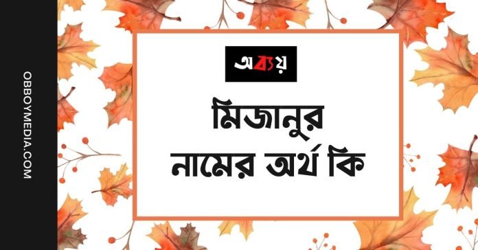 মিজানুর নামের অর্থ কি - আরবি ও ইসলামিক অর্থ সহ মিজানুর নামের অর্থ কি