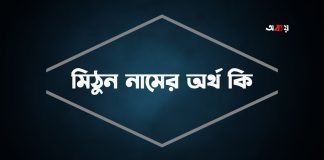 মিঠুন নামের অর্থ কি