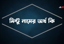 মিন্টু নামের অর্থ কি | কেনো রাখবেন, কেনো রাখবেননা মিন্টু নামের অর্থ কি