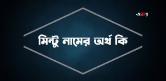 মিন্টু নামের অর্থ কি