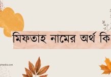 মিফতাহ নামের অর্থ কি