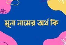 মুনা নামের অর্থ কি | নামটি সম্পর্কে বিশেষ তথ্যটি জেনে নিন