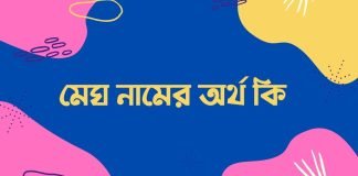 মেঘ নামের অর্থ কি
