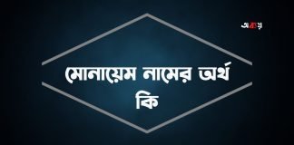 মোনায়েম নামের অর্থ কি