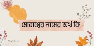 মোবাশ্বের নামের অর্থ কি