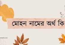 মোহন নামের অর্থ কি | কেনো রাখবেন, কেনো রাখবেননা মোহন নামের অর্থ কি