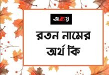 রতন নামের অর্থ কি | কেনো রাখবেন, কেনো রাখবেননা রতন নামের অর্থ কি