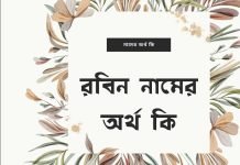 রবিন নামের অর্থ কি