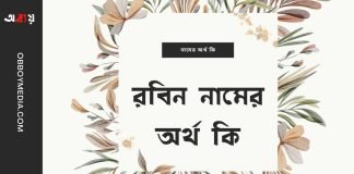 রবিন নামের অর্থ কি