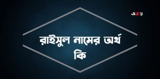 রাইসুল নামের অর্থ কি