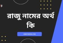 রাজু নামের অর্থ কি